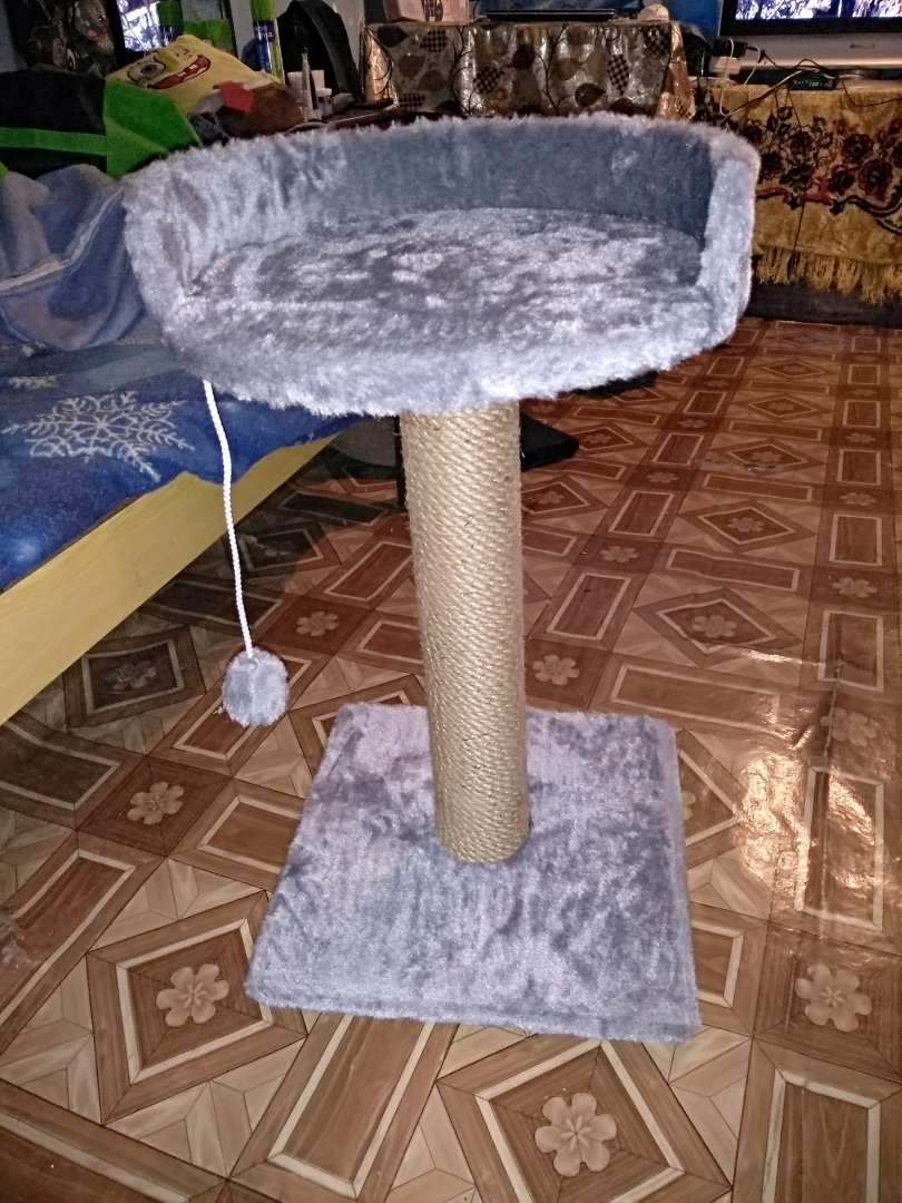 Когтеточка за 1000 рублей на Озон. Отзыв от котиков