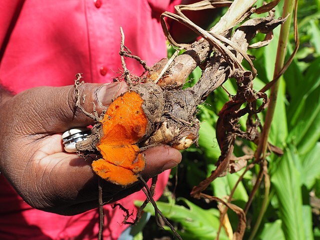 Эти Мощные Продукты помогут Вашей коже Сиять.