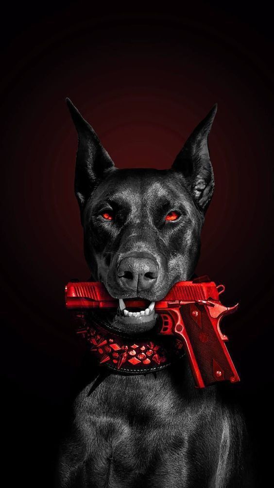 11-летний мальчик смертельно ранен подростком, спорившим с другим подростком