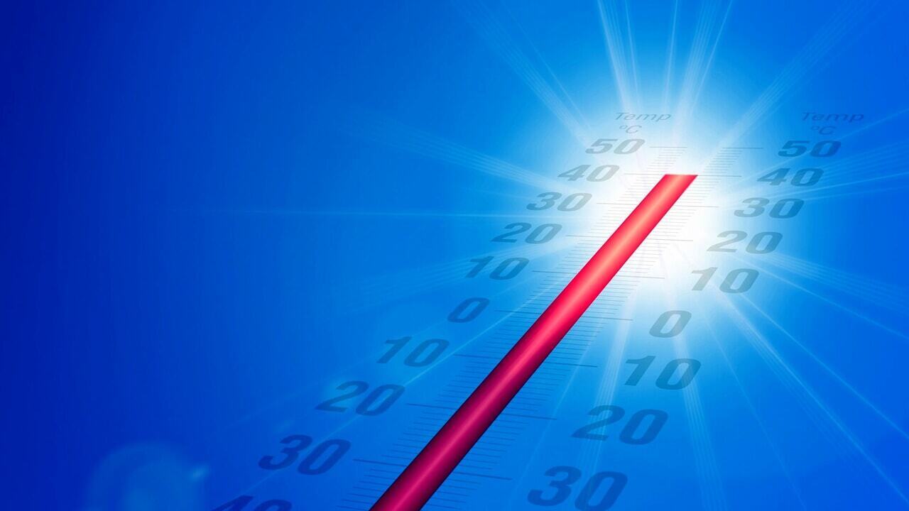 Что происходит с телом, когда ему становится слишком жарко (и каков предел)