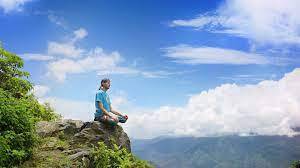 Как Covid-19 изменил отношения с природой: исследование