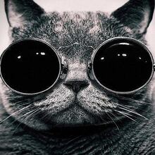 Алексей Юрьевич, г. Краснодар