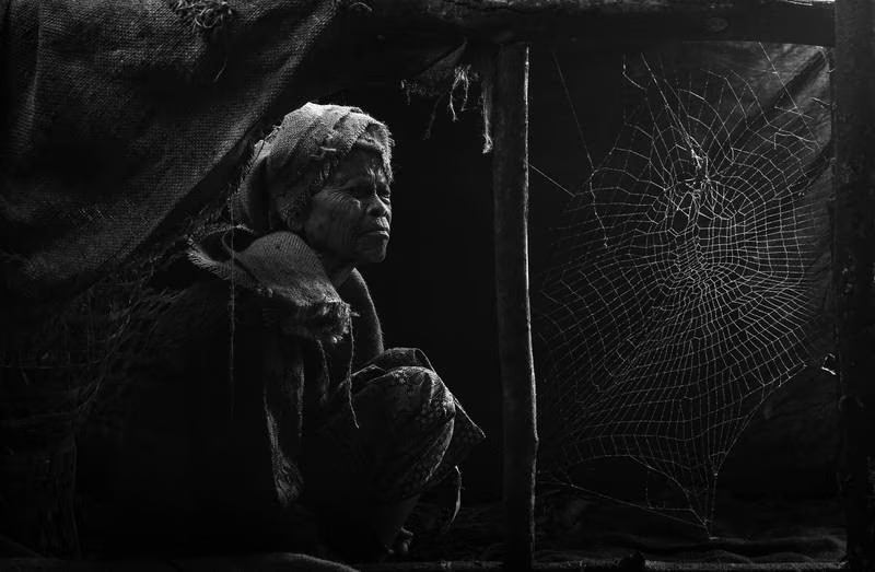 Разнообразие - тема 12-й премии фотоконкурса Hipa