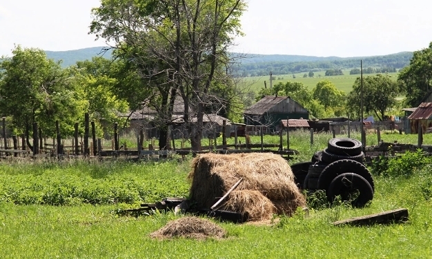 Приняты новые штрафы за навоз.