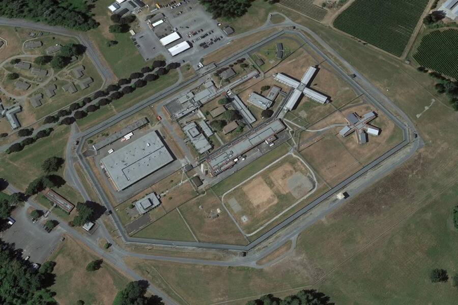 Поймали голубя с рюкзаком, полным метамфетамина.