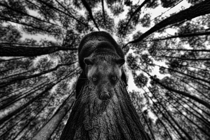 Разнообразие - тема 12-й премии фотоконкурса Hipa