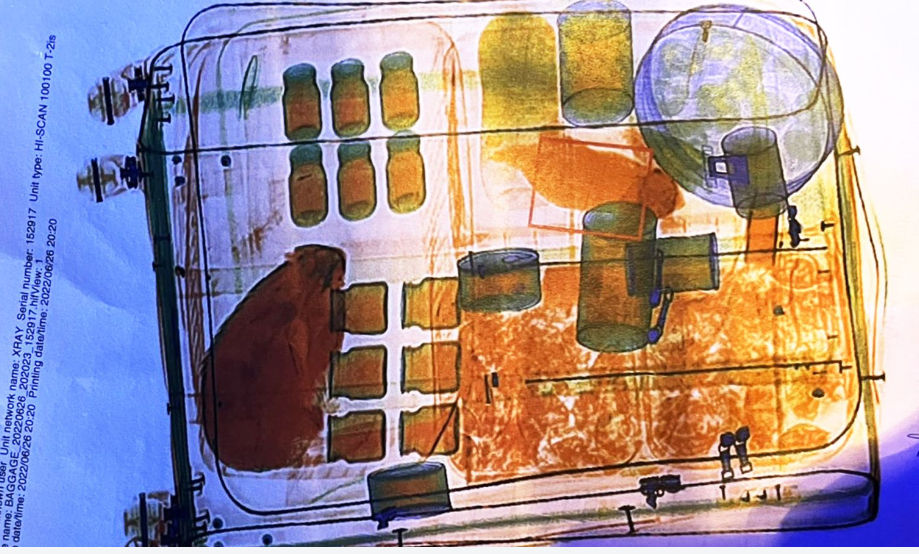 Как много может уместиться в бездонной женской сумочке?