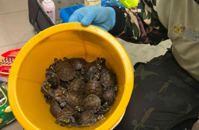 Как много может уместиться в бездонной женской сумочке?