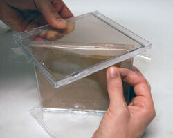 Муравьиная ферма дома