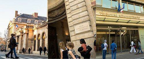 Французский суд отменил запрет правительства на продажу цветов каннабиса с CBD