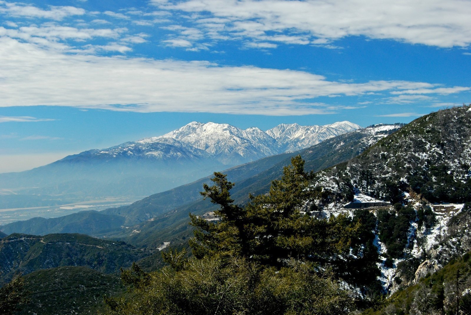 Актер Джулиан Сэндс объявлен пропавшим без вести.