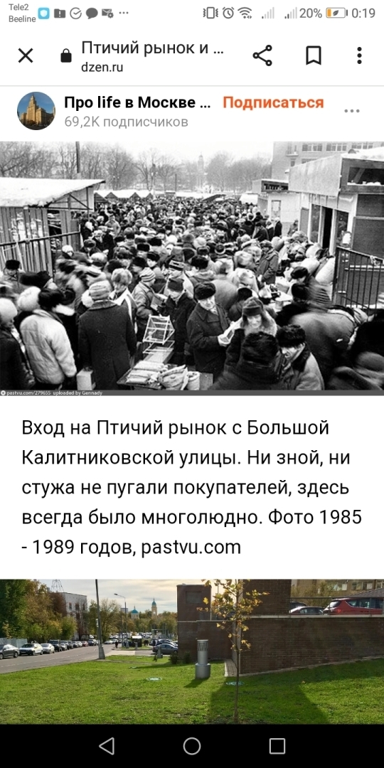 Как захотеть стать парикмахером, взять у родителей деньги на сапоги, а вместо этого попасть на Птичий рынок! И все потратить!