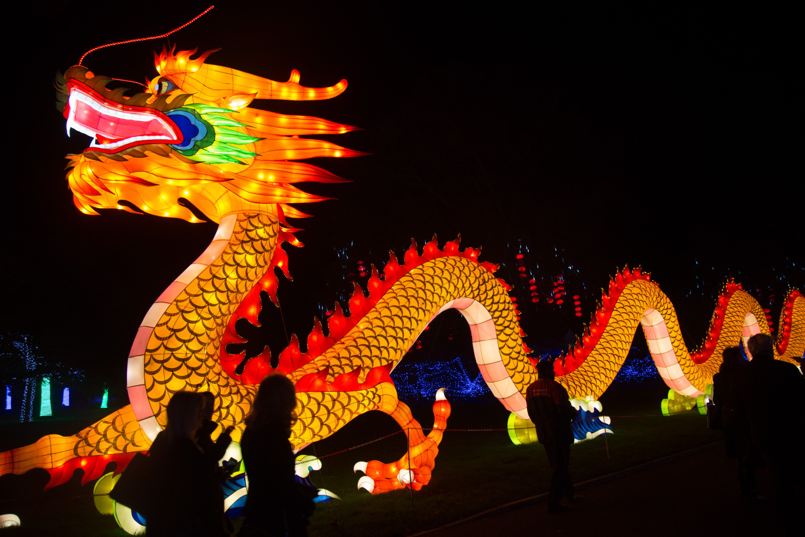 Китайский дракон в Китае