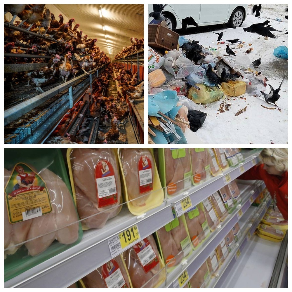 Oчepeднaя xaлaтнocть пpeдпpинимaтeлeй пopoждaeт бoлeзни.