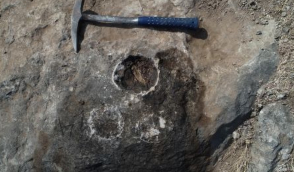 Динозавр-клещ