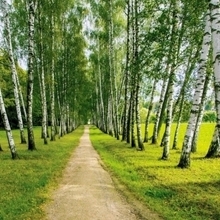 Светлана, г. Москва