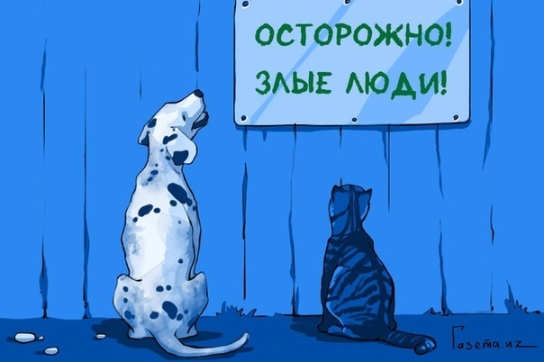 Страны и организации, помогающие домашним беженцам из Украины найти убежище