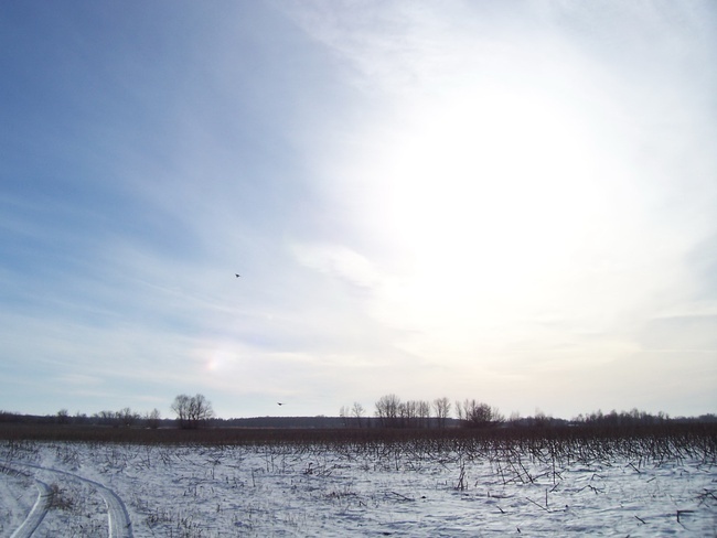 Моё расследование