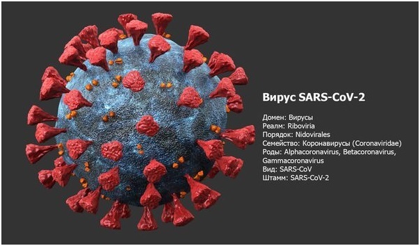 Путаница в конце китайской «Нулевой короны» во время китайского Нового года?