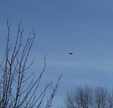 Моё расследование