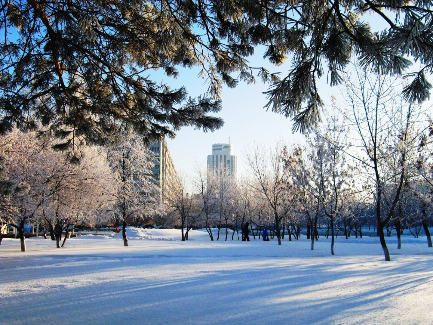 Солнечный зимний день москва