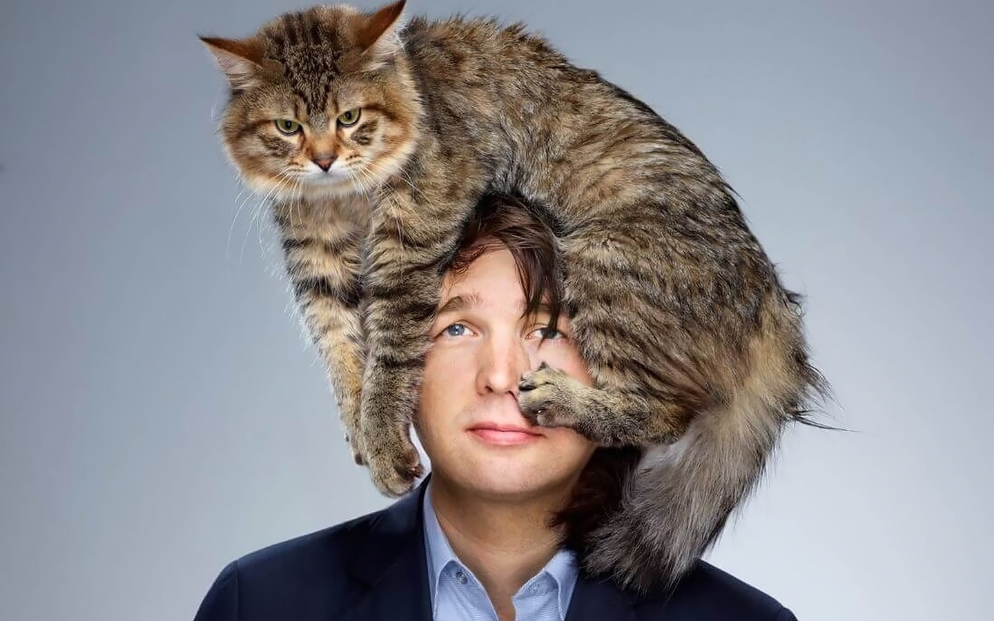 Ученые обнаружили , что КОШКАМ просто наплевать, ваша кошка знает, что вы с ней разговариваете, просто ей все равно.