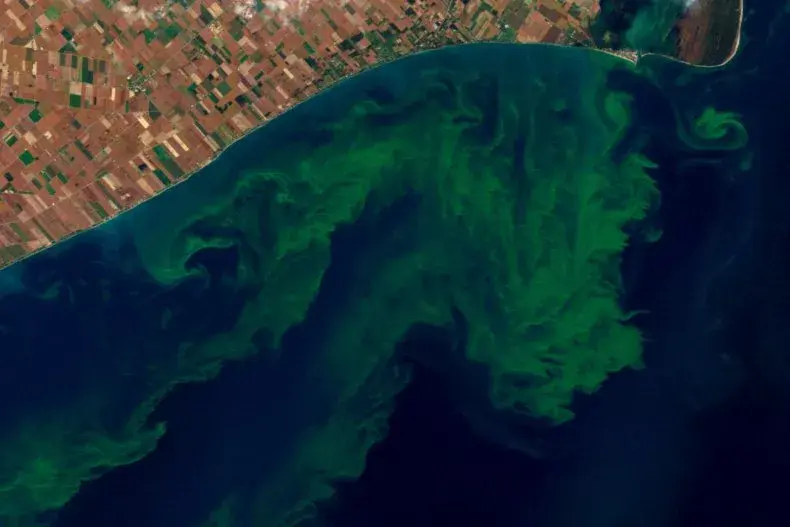 НАСА нуждается в помощи в поиске токсичных цветков водорослей, и оно заплатит вам за это