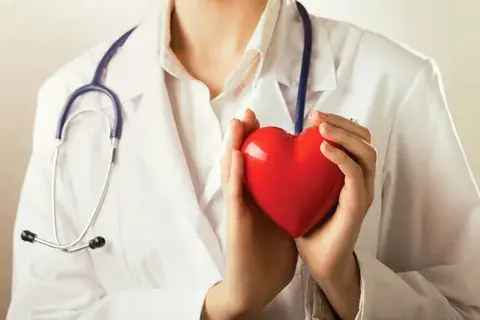 Свиное сердце для человека