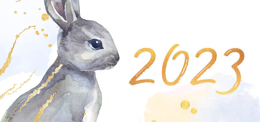 "2023 год кролика: ожидания и перспективы"