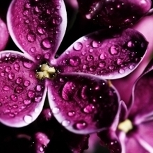 Гость_8843636, г. Магнитогорск