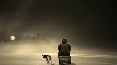 Социальность одиночества мозга