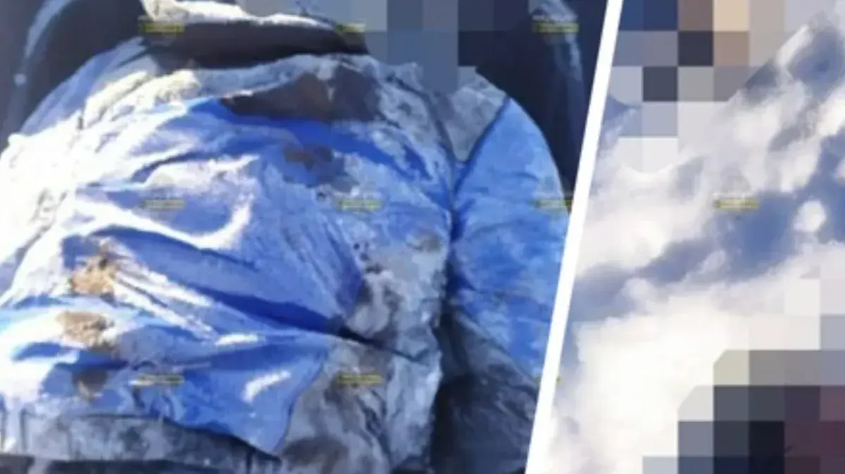 В Ордынском районе Новосибирской области нашли тело со съеденными конечностями