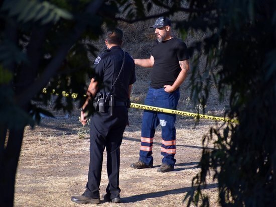 Собака застрелила хозяина из винтовки, лежавшей в машине