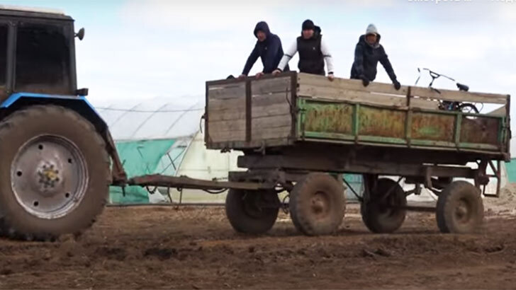 Агробизнес предпочитает мигрантов местному населению Реакция на заметку - “Одни в поле”