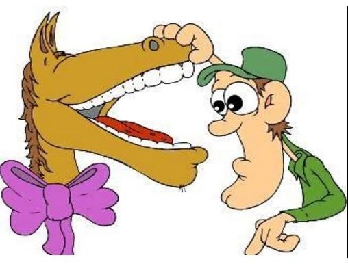 Конкурсы красоты. Поступило предложение допускать только девственниц, c правильной формой черепа и родными зубами