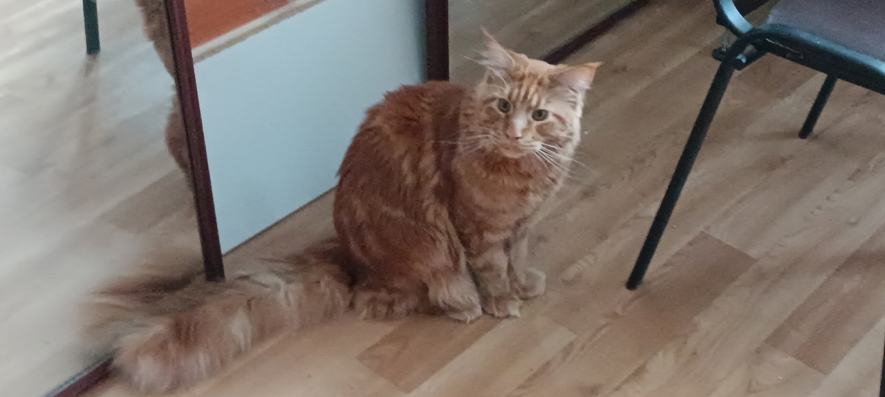 Важен ли процесс самопознания и его коучинг