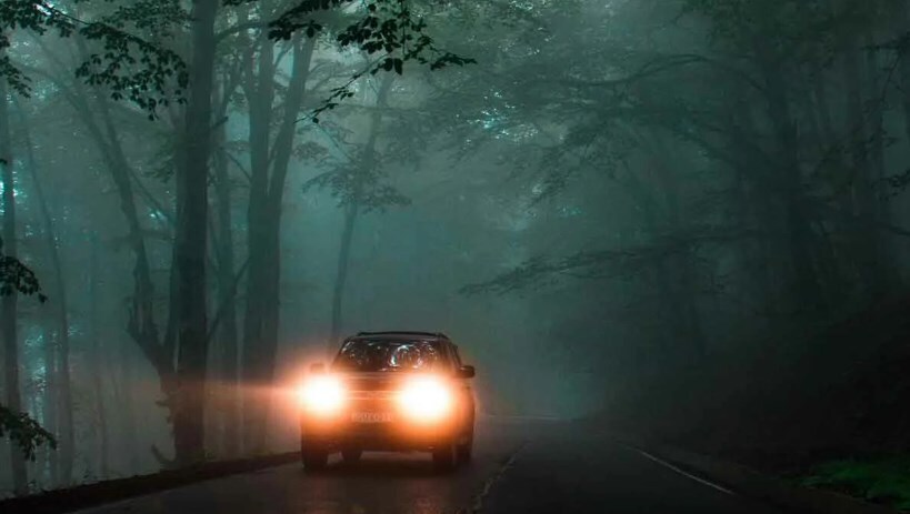 Зверь, одоленный в берлоге. Глава 2.