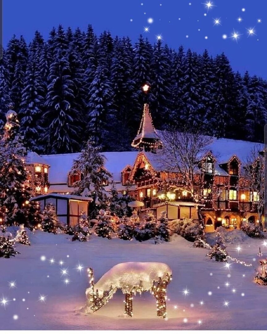 Мысли в слух! ''Какую самую горькую правду вам пришлось узнать, которая сделала вас сильнее?''