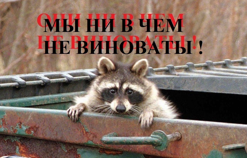 Наказать администрацию рублем за нападение бездомного животного вполне возможно