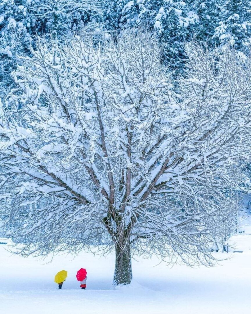 Мысли в слух! ''Какую самую горькую правду вам пришлось узнать, которая сделала вас сильнее?''