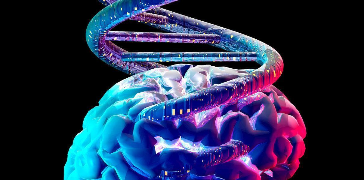 Генная память