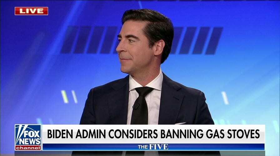 Война Байдена с вашей кухней продолжается с предлагаемым запретом газовой плиты