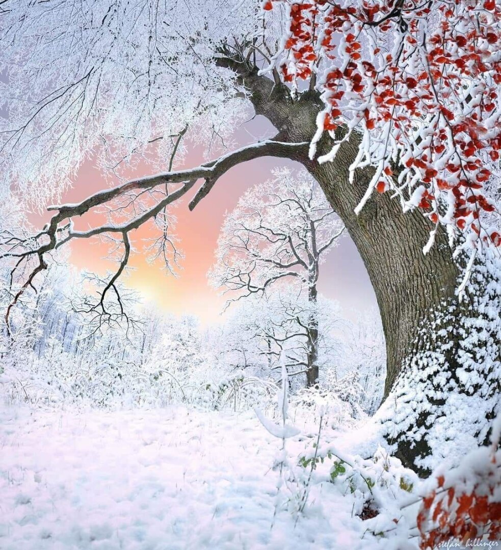 Мысли в слух! ''Какую самую горькую правду вам пришлось узнать, которая сделала вас сильнее?''