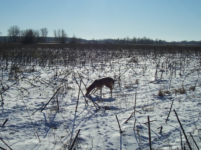 Солнечный день