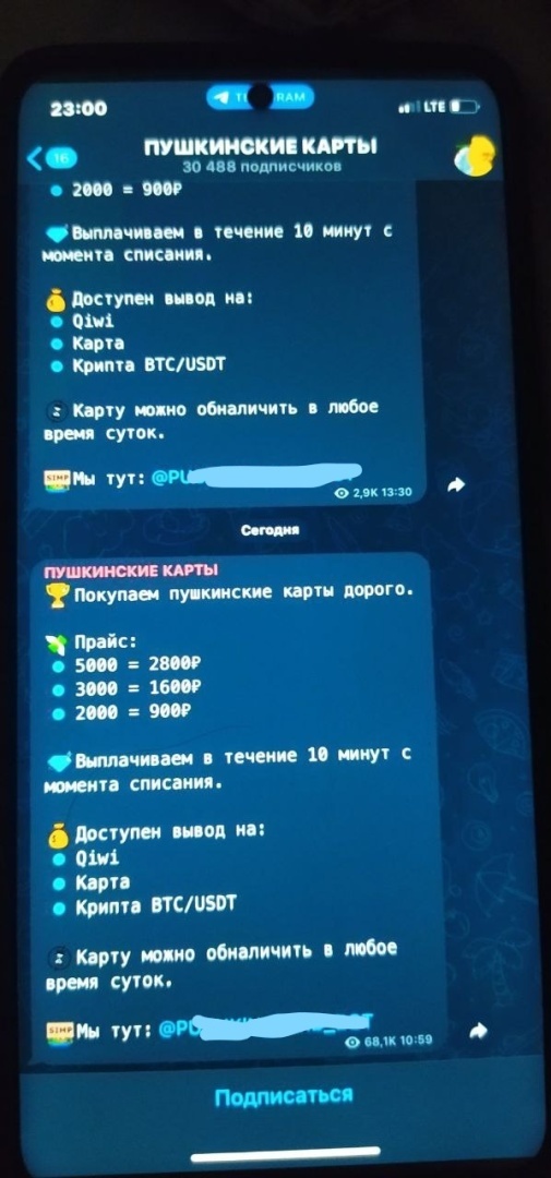 Недетские шалости вокруг «Пушкинских карт»