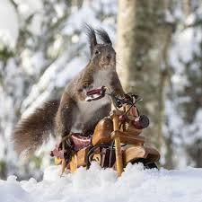 Белковая недостаточность: симптомы, причины и способы устранения