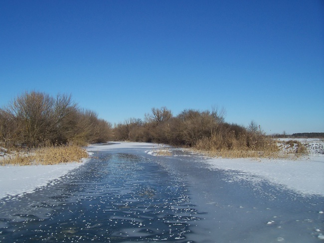 Солнечный день