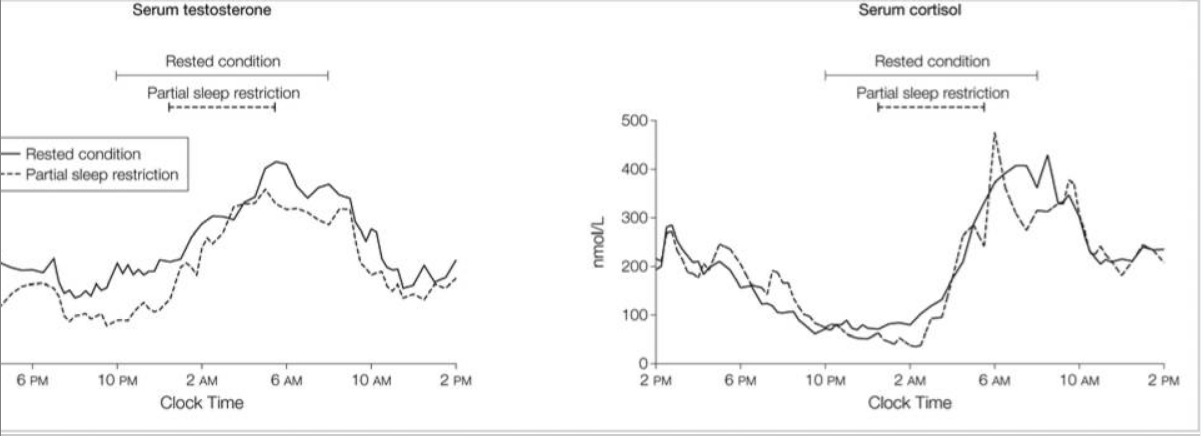Влияние 1-недельного ограничения сна на уровень тестостерона у молодых здоровых мужчин