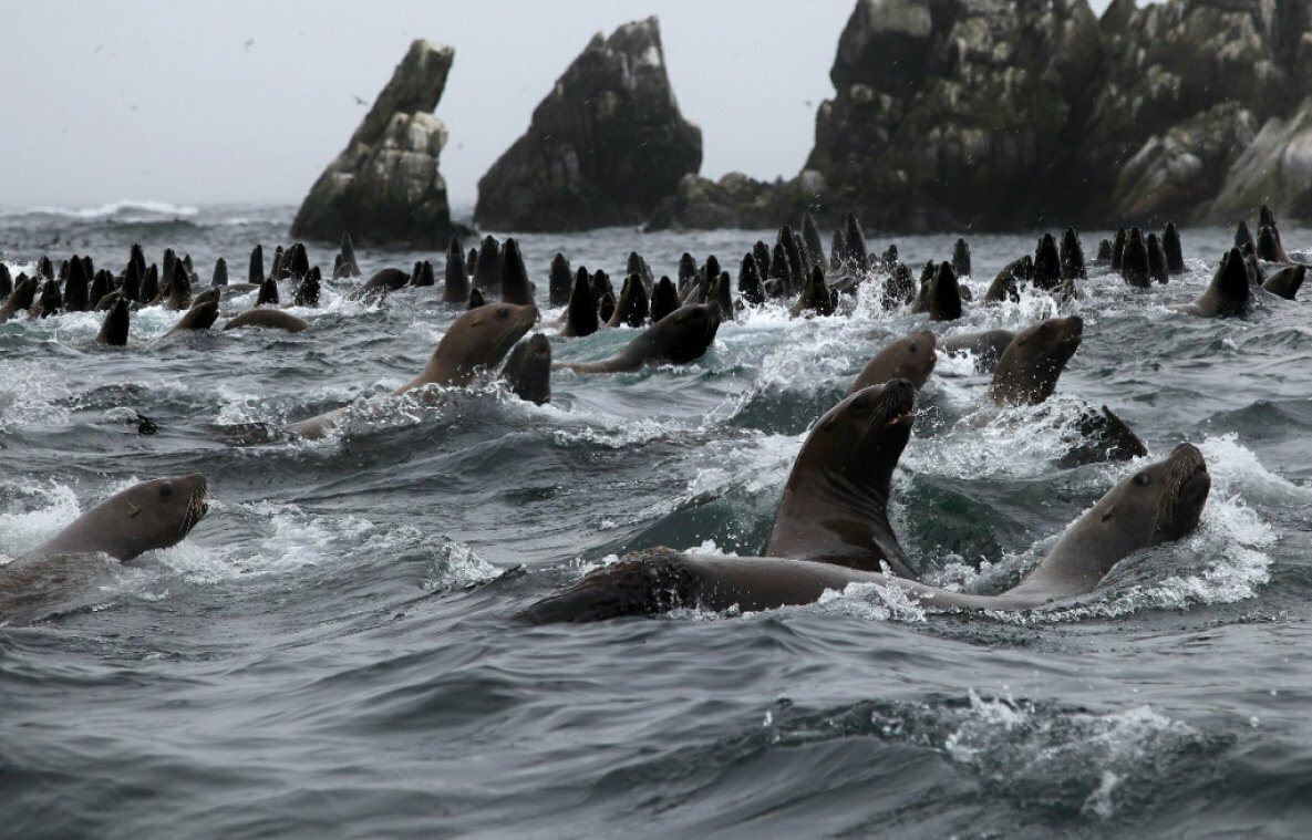 После моего предложения отправиться на эти острова муж пообещал, что отключит мне интернет! А вы бы приняли такое предложение?
