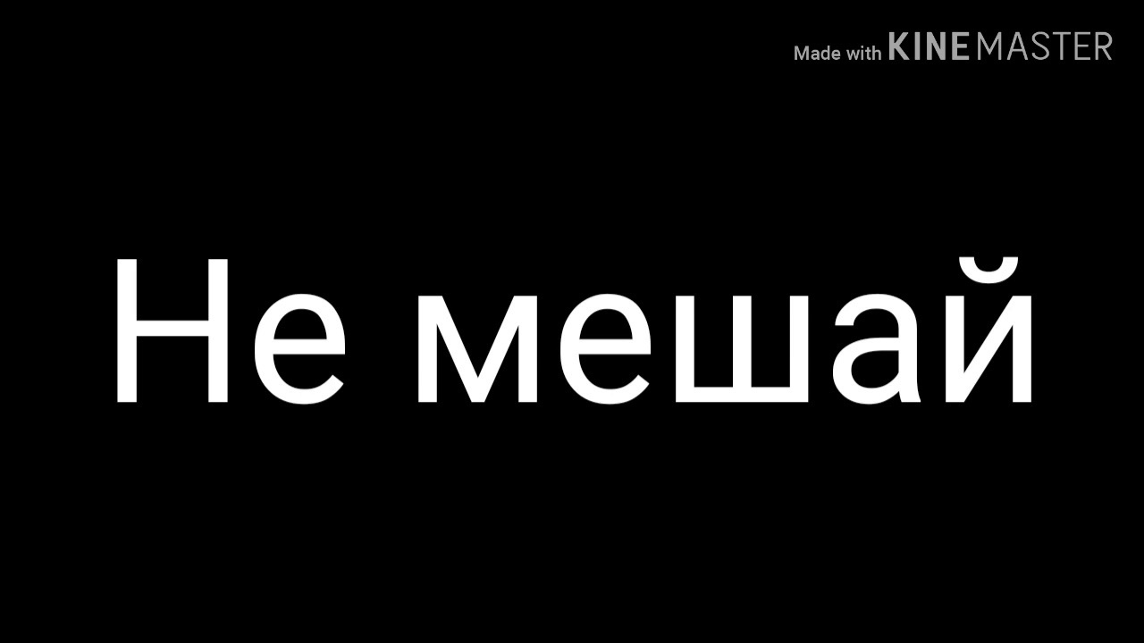 Не мешайте юристу работать!